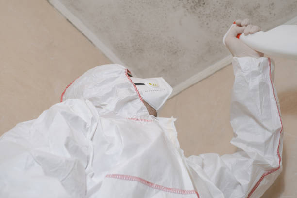 Best Emergency Mold Remediation in Rhome, TX