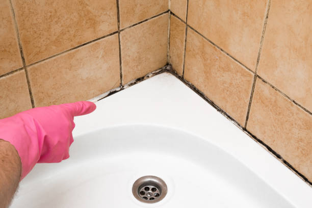 Best Bathroom Mold Remediation in Rhome, TX